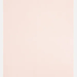 Biederlack Wohndecke Basic In Pearl Rose 9