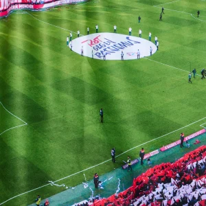 FC Bayern Kuschelfleecedecke Allianz Arena 6