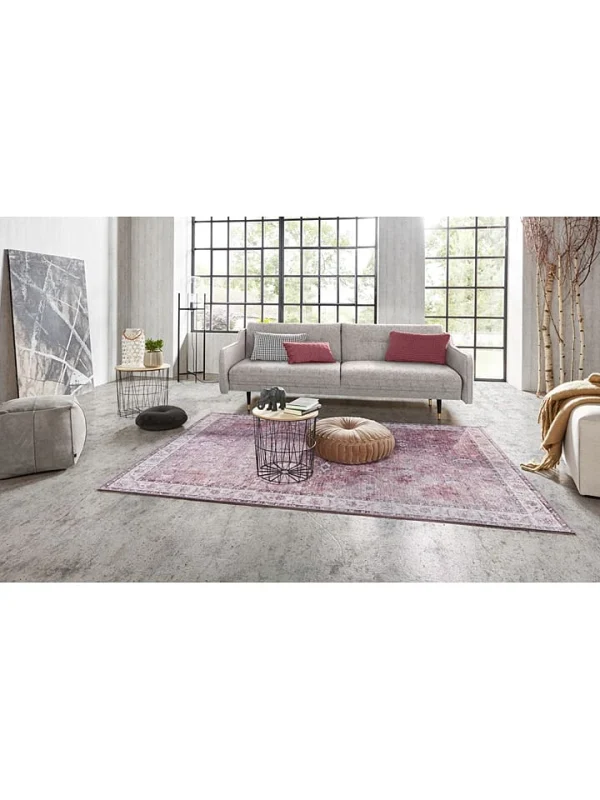 Hanse Home Webteppich “Vivana” In Rot 5