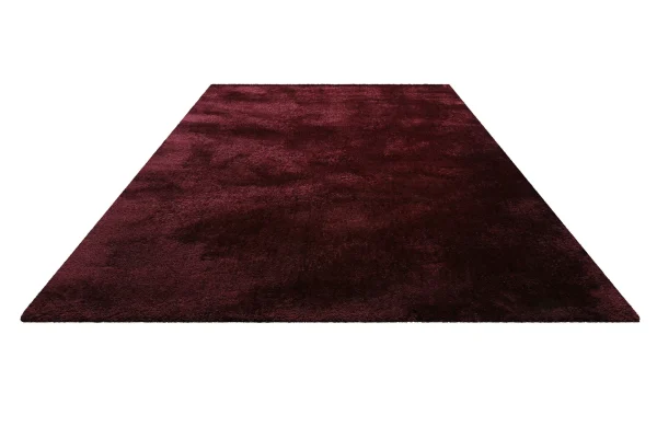 Homie Living Teppich Pisa In Bordeaux Rot 3