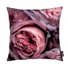 Juniqe Kissen “Vintage Pink” In Rosa 10