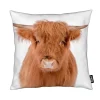 Juniqe Kissen “Young Highland Cow” In Braun 17