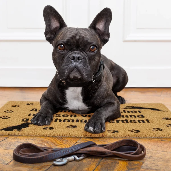 Relaxdays Fußmatte Achtung Hund! In Braun – (B)60 X (T)40 Cm 6