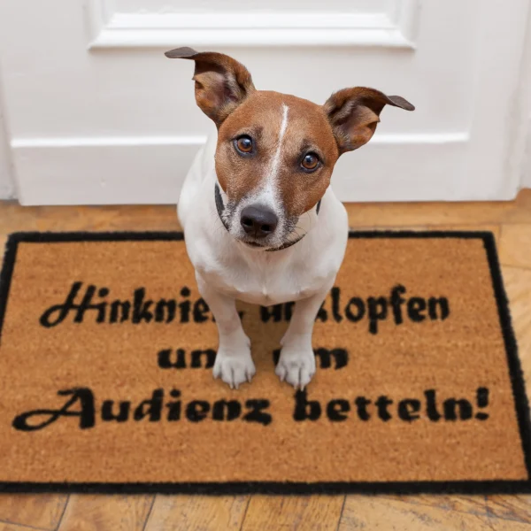 Relaxdays Fußmatte Audienz In Natur/Schwarz – 40 X 60 Cm 6
