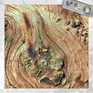 WallArt Vinyl-Teppich – Alte Holzstruktur In Braun 11