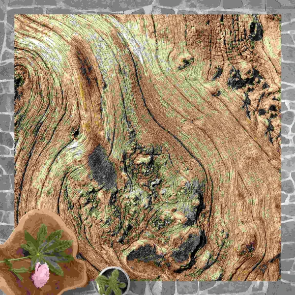 WallArt Vinyl-Teppich – Alte Holzstruktur In Braun 4